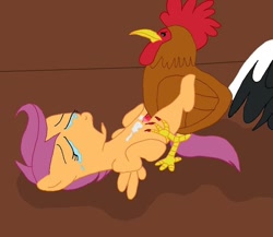 Size: 876x760 | Tagged: explicit, grimdark, artist:scateater3000, scootaloo, chicken, crying, cum, female, foalcon, g4, imported from derpibooru, interspecies, male, nudity, on back, penetration, penis, rape, rooster, scootabuse, straight, tears of pain, vaginal, vulva, why