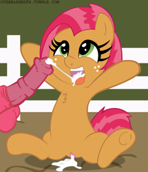 Size: 1280x1485 | Tagged: explicit, artist:overmare, artist:warumono1989, babs seed, aftersex, age difference, balls, big macintosh, blowjob, creampie, cum, cute, cute porn, dead source, earth pony, female, filly, foal, foalcon, g4, horsecock, imported from derpibooru, incest, looking up, male, nudity, offscreen character, oral, penis, pony, sex, stallion, stallion on filly, straight, vaginal secretions, vulva