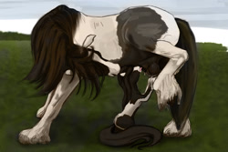 Size: 1280x853 | Tagged: explicit, artist:lostdragon01, oc, balls, barely pony related, blowjob, cock nursing, female, filly, foal, foalcon, fondling, gypsy vanner, horse, imported from derpibooru, licking, licking cock, male, nudity, oc only, oral, penis, pony, sex, stallion
