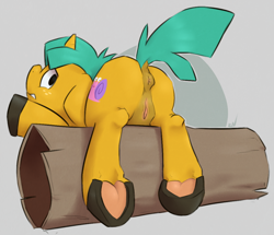 Size: 800x689 | Tagged: explicit, artist:ponchuzn, anus, cuntboy, cuntboy snails, foalcon, g4, hooves, imported from derpibooru, intersex, presenting, snails, solo, solo cuntboy, underhoof, vulva