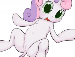 Size: 1280x960 | Tagged: explicit, artist:zokkili, sweetie belle, anus, female, foalcon, g4, human vulva, human vulva on pony, imported from derpibooru, nudity, on back, pony, solo, solo female, vagina, vulva