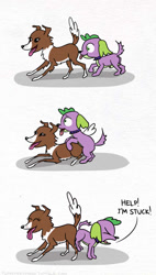 Size: 500x880 | Tagged: explicit, artist:el-yeguero, spike, canine sex, comic, dog, equestria girls, female, foalcon, g4, imported from derpibooru, knot, knotted, knotting, male, nudity, penis, ship:spinona, spike the dog, straight, tongue out, winona