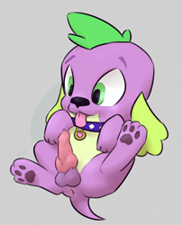 Size: 700x868 | Tagged: explicit, artist:ponchuzn, spike, alternate version, anus, canine penis, colored, dog, equestria girls, foalcon, g4, gray background, imported from derpibooru, knot, male, nudity, paw pads, paws, penis, simple background, solo, solo male, spike the dog, tongue out, underpaw