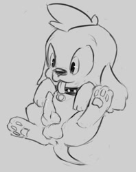 Size: 401x507 | Tagged: explicit, artist:ponchuzn, spike, alternate version, anus, butt, canine penis, dog, equestria girls, foalcon, g4, imported from derpibooru, knot, lineart, male, nudity, paw pads, penis, plot, simple background, simplistic anus, solo, solo male, spike the dog