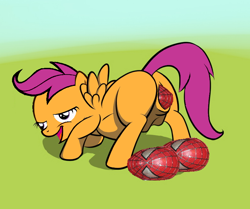 Size: 788x659 | Tagged: explicit, artist:sewlde, scootaloo, chickun, crotchboobs, edit, egg, exploitable meme, female, foalcon, forced meme, g4, hatchling, imported from derpibooru, marvel, nudity, oviposition, satire, scootachicken, solo, solo female, spider-man, superhero, vulva, wat