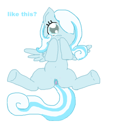 Size: 627x686 | Tagged: explicit, oc, oc:snowdrop, belly button, foalcon, imported from derpibooru, oc only, pegasus, pony, vagina, vulva