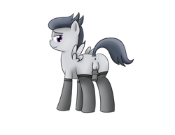 Size: 900x700 | Tagged: explicit, artist:pvryohei, anus, balls, bedroom eyes, butt, clothes, colt, crossdressing, flaccid, foal, foalcon, g4, imported from derpibooru, legwear, looking at you, looking back, male, nudity, pegasus, penis, plot, pony, rumble, simple background, solo, solo male, stockings, thigh highs, white background, wings