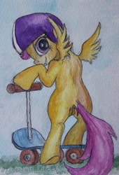Size: 1392x2046 | Tagged: explicit, artist:headless horsecock, scootaloo, anus, butt, female, filly, foal, foalcon, g4, genitals, imported from derpibooru, nudity, plot, pony, solo, solo female, traditional art, vulva