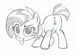 Size: 1000x715 | Tagged: explicit, artist:php87, babs seed, anus, butt, female, foalcon, g4, imported from derpibooru, monochrome, nudity, plot, pony, presenting, simplistic anus, tongue out, vulva