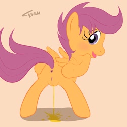 Size: 2000x2000 | Tagged: explicit, artist:tcraw, scootaloo, anus, bad anatomy, blushing, butt, female, foalcon, g4, imported from derpibooru, nudity, pissing, plot, pony, presenting, simple background, solo, solo female, urine, vagina, vulva, watersports