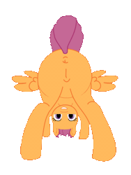 Size: 345x460 | Tagged: explicit, scootaloo, animated, anus, butt, butt shake, female, foalcon, g4, imported from derpibooru, plot, pony, presenting, raised tail, simple background, solo, solo female, tail, transparent background, vulva