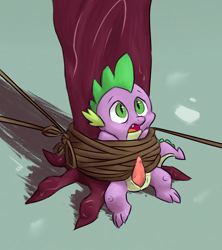 Size: 800x900 | Tagged: explicit, artist:ponchuzn, spike, bondage, cloaca, dragon, foalcon, g4, imported from derpibooru, just for sidekicks, male, my little pony: friendship is magic, nudity, penis, solo, solo male, tied up, tree