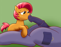 Size: 1300x1006 | Tagged: explicit, artist:whatsapokemon, babs seed, oc, blowjob, canon x oc, female, foalcon, g4, imported from derpibooru, just the tip, male, nudity, oral, penis, sex, straight