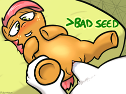 Size: 800x600 | Tagged: explicit, artist:pokehidden, babs seed, blood, defloration, earth pony, female, filly, foal, foalcon, g4, human, human male, human male on filly, human on pony action, human penis, imported from derpibooru, interspecies, male, nudity, on back, penis, pony, sex, straight, virgin, vulva