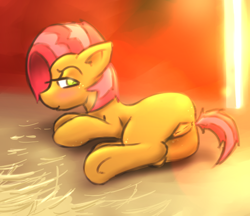 Size: 631x546 | Tagged: explicit, artist:taps, babs seed, anus, butt, female, foal, foalcon, g4, human vulva, human vulva on pony, imported from derpibooru, naughty, nudity, plot, pony, solo, solo female, vulva