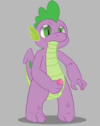 Size: 800x1000 | Tagged: explicit, artist:ziyen, spike, balls, dragon, foalcon, g4, imported from derpibooru, male, masturbation, nudity, penis, simple background, solo, solo male