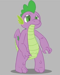 Size: 800x1000 | Tagged: questionable, artist:ziyen, spike, balls, dragon, foalcon, g4, imported from derpibooru, male, nudity, sheath, simple background, solo, solo male