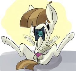 Size: 1061x1000 | Tagged: explicit, anus, balls, camera, clothes, featherweight, foalcon, g4, hooves, imported from derpibooru, nudity, panties, penis, sketch, underwear, vagina