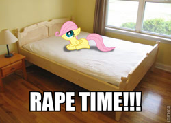 Size: 500x358 | Tagged: semi-grimdark, suggestive, fluttershy, background pony strikes again, bed, female, filly, flutterrape, foal, foalcon, g4, image macro, imminent rape, imminent sex, implied rape, imported from derpibooru, irl, pegasus, photo, ponies in real life, pony, solo, tasteless, text, vector