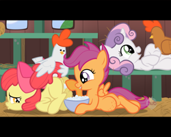 Size: 1280x1024 | Tagged: explicit, artist:facelessjr, apple bloom, scootaloo, sweetie belle, anus, belly, bestiality, chicken, cutie mark crusaders, earth pony, egg, elizabeak, female, females only, foalcon, g4, horn, imported from derpibooru, insertion, interspecies, letterboxing, nudity, oviposition, pegasus, pony, pouting, pregnant, pregnant scootaloo, puckered asshole, scootachicken, show accurate, show accurate porn, unicorn, unusual insertion, vaginal insertion, vulva, wat