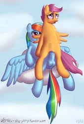 Size: 1695x2500 | Tagged: explicit, artist:vertex-the-pony, rainbow dash, scootaloo, abdominal bulge, balls, bedroom eyes, cloud, cloudy, dock, duo, foalcon, futa, futa on female, futa rainbow dash, g4, herm, horsecock, imported from derpibooru, intersex, mile high club, nudity, open mouth, outdoor sex, outdoors, penis, sex, ship:scootadash, shipping, smiling, vaginal, vulva, wingboner