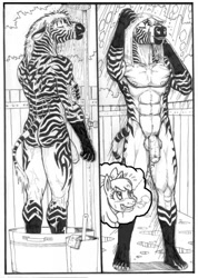 Size: 909x1280 | Tagged: explicit, artist:mariano, apple bloom, oc, oc:shona, anthro, balls, foalcon, furry, g4, imported from derpibooru, male, nudity, penis, solo, solo male, zebra, zebradom
