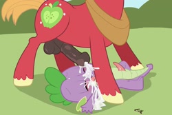 Size: 3000x2000 | Tagged: explicit, artist:launny, spike, balls, big macintosh, bukkake, cum, dragon, dragon on pony action, earth pony, facial, foalcon, g4, gay, high res, imported from derpibooru, interspecies, male, males only, nudity, penis, pony, ship:spikentosh, shipping, stallion, stallion on baby dragon