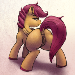 Size: 900x900 | Tagged: explicit, artist:chromaskunk, artist:kevinsano, scootaloo, anus, bedroom eyes, blank flank, butt, colored, dock, female, foalcon, folded wings, g4, human on pony action, imported from derpibooru, interspecies, large butt, looking at you, looking back, looking back at you, nudity, pegasus, plot, ponut, pony, presenting, puckered asshole, raised tail, rear view, scootabutt, smiling, solo, solo female, spread legs, spreading, tail, tail aside, the ass was fat, vaginal secretions, vulva, wings