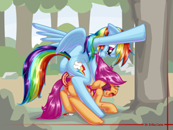 Size: 1600x1200 | Tagged: explicit, grimdark, artist:dr. cane, rainbow dash, scootaloo, abuse, anal insertion, anus, beaten up, black eye, blood, butt, crying, dildo, doubleheaded dildo, female, female on female rape, foalcon, g4, imported from derpibooru, injured, insertion, lesbian, mare, mare on filly, nudity, pegasus, plot, pony, rainbow dash raping scootaloo, rape, scootabuse, sex, sex toy, shiny, vagina, vaginal secretions