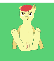 Size: 1280x1431 | Tagged: explicit, apple bloom, crotchboobs, disproportional anatomy, female, foalcon, g4, genitals, imported from derpibooru, looking at you, ms paint, nipples, nudity, pony, spread legs, vagina, vulva