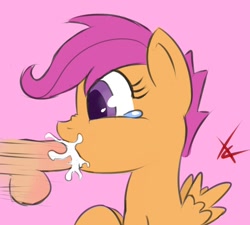 Size: 1000x900 | Tagged: explicit, artist:crade, scootaloo, balls, blowjob, cum, female, foalcon, g4, human, human male, human male on filly, human on pony action, human penis, imported from derpibooru, male, nudity, oral, penis, pony, straight