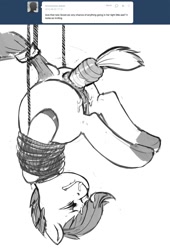 Size: 871x1280 | Tagged: explicit, artist:kevinsano, scootaloo, anal foodplay, anal insertion, anus, bondage, butt, carrot, carrot insertion, cum, facial, female, foalcon, food, foodplay, g4, implied straight, imported from derpibooru, insertion, nudity, plot, pony, rope, solo, solo female, suspended, tail wrap, tied up, unusual insertion, upside down, vagina, vulva