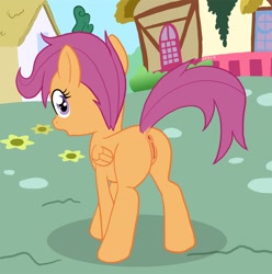 Size: 850x858 | Tagged: explicit, artist:zed001, scootaloo, anus, female, foalcon, g4, imported from derpibooru, nudity, pony, solo, solo female, vagina