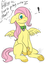 Size: 496x686 | Tagged: explicit, artist:cartoonlion, artist:kiyiya, fluttershy, oc, oc:futashy, balls, blushing, collar, colored, dialogue, embarrassed, female, filly, foal, foalcon, futa, futa filly, futa fluttershy, futaverse, g4, imported from derpibooru, intersex, masturbation, nudity, offscreen character, penis, pony, sheath, simple background, small penis, solo, solo futa, younger