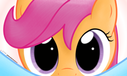 Size: 3769x2250 | Tagged: explicit, artist:haltie, rainbow dash, scootaloo, cunnilingus, cute, cute porn, female, female pov, foalcon, g4, high res, imported from derpibooru, lesbian, mare on filly, oral, pov, rainbow dash's pov, ship:scootadash, shipping, simple background, transparent background