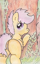 Size: 731x1159 | Tagged: explicit, artist:slightlyshade, scootaloo, blushing, butt, female, foalcon, g4, imported from derpibooru, nudity, plot, pony, presenting, presenting butt, solo, solo female, traditional art, vagina