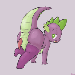 Size: 1280x1281 | Tagged: explicit, artist:dovne, spike, anus, clothes, crossdressing, dragon, foalcon, g4, imported from derpibooru, legwear, male, nudity, penis, solo, solo male, stockings, thigh highs, wingless spike