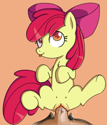 Size: 540x630 | Tagged: explicit, artist:miketheuser, apple bloom, :p, chest fluff, crotchboobs, cum, delicious flat crotch, earth pony, female, filly, foal, foalcon, g4, genitals, human, human male, human male on filly, human on pony action, human penis, imported from derpibooru, interspecies, male, male pov, nipples, nudity, offscreen character, penis, pony, pov, sex, simple background, straight, teats, tongue out, underhoof, vulva