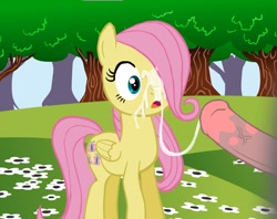 Size: 902x716 | Tagged: explicit, artist:zed001, fluttershy, cum, cumming, dead source, facial, female, filly, flash, flash animation, flash-in-source, foal, foalcon, g4, imported from derpibooru, male, nudity, penis, stallion on filly, straight, surprise facial, younger
