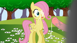 Size: 1920x1080 | Tagged: explicit, artist:zed001, fluttershy, bukkake, cum, female, filly, flash, foal, foalcon, g4, imported from derpibooru, male, nudity, penis, stallion on filly, straight, surprise facial, younger
