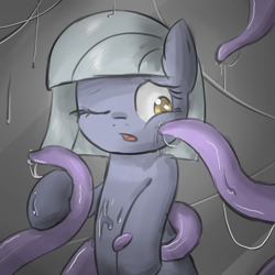 Size: 900x900 | Tagged: questionable, artist:sirachanotsauce, earth pony, female, filly, foal, foalcon, g4, imported from derpibooru, limestone pie, nudity, one eye closed, pony, solo, solo female, tentacle porn, tentacles, tentacles on female