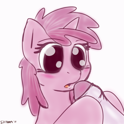Size: 1500x1500 | Tagged: explicit, artist:php199, blowjob, cock worship, drool, duo, duo male and female, female, filly, foal, foalcon, foreskin, g4, human, human male, human male on filly, human on pony action, human penis, imported from derpibooru, interspecies, male, nudity, oral, penis, pony, ruby pinch, sex, shipping, straight, unicorn