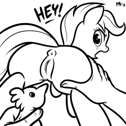 Size: 1280x1280 | Tagged: explicit, artist:megasweet, scootaloo, anus, butt, butt grab, butt touch, chicken, female, filly, foal, foalcon, g4, grope, hand on butt, human, human male, human male on filly, human on pony action, imported from derpibooru, monochrome, nudity, pegasus, plot, pony, puckered asshole, rubber chicken, scootachicken, shipping, solo, solo female, spreading, straight, vulva