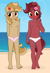 Size: 2268x3263 | Tagged: questionable, artist:tolpain, oc, oc:peanut toffy, oc:raspberry toffy, anthro, anthro oc, banned from derpibooru, barefoot, beach, belly button, blushing, breasts, cameltoe, clothes, cute, delicious flat chest, dress, duo, duo female, earth pony, feet, female, females only, flower, flower in hair, fraternal twins, imported from twibooru, lolicon, nipples, nudity, oc only, outdoors, panties, pink underwear, plantigrade anthro, siblings, sisters, small breasts, sundress, twin sisters, twins, underage, underwear