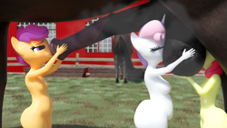 Size: 2560x1440 | Tagged: explicit, artist:littlesocks3, apple bloom, scootaloo, sweetie belle, 3d, anthro, anthro on horse action, ball worship, balls, balls fetish, banned from derpibooru, bestiality, cock worship, cutie mark crusaders, earth pony, female, fetish, imported from twibooru, interspecies, lolicon, musk, nudity, pegasus, these are my glasses, underage, unicorn