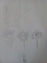 Size: 3120x4160 | Tagged: explicit, scootaloo, anonymous artist, banned from derpibooru, bubbles (powerpuff girls), death, digestion, female, fetish, foalcon, imported from twibooru, lolicon, sketch, traditional art, unbirthing, underage, vore