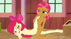 Size: 4000x2229 | Tagged: explicit, artist:cloppy hooves, apple bloom, babs seed, applecest, appleseed, banned from derpibooru, barn, belly button, blushing, cousins, equestria girls, equestria girls-ified, female, imported from twibooru, incest, lesbian, lolicon, nudity, sex, shipping, tribadism, underage, vulva