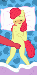 Size: 1500x3000 | Tagged: explicit, artist:tolpain, apple bloom, anthro, banned from derpibooru, bed, big mcintosh, blushing, breasts, delicious flat chest, earth pony, female, imported from twibooru, incest, lolicon, masturbation, nudity, shipping, underage