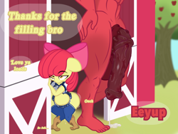 Size: 2048x1536 | Tagged: explicit, artist:lefthighkick, apple bloom, series:littlesocks, aftersex, anthro, applecest, balls, banned from derpibooru, big balls, big mcintosh, big penis, boots, child, clothes, cowboy boots, cum, cum inflation, dialogue, female, glazed dick, horsecock, imported from twibooru, impossibly large balls, impossibly large penis, incest, inflation, lolicon, macbloom, male, nudity, penis, plantigrade anthro, shipping, shoes, slut, socks, straight, thigh highs, underage