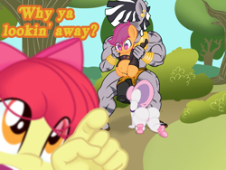 Size: 2048x1536 | Tagged: explicit, artist:lefthighkick, apple bloom, scootaloo, sweetie belle, series:littlesocks, anthro, banned from derpibooru, child, clothes, earth pony, fat ass, female, fingering, imported from twibooru, lolicon, nudity, pegasus, penis, plantigrade anthro, sex, size difference, slut, socks, thick, thigh highs, underage, unicorn, zebra, zebra supremacy, zebradom
